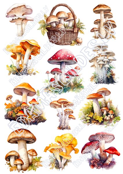 Cukura papīrs ar apdruku " Meža sēnes "