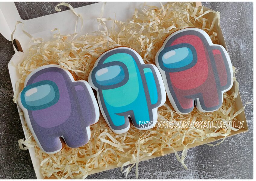 Mājas ingvera cepumu komplekts "Amonge"